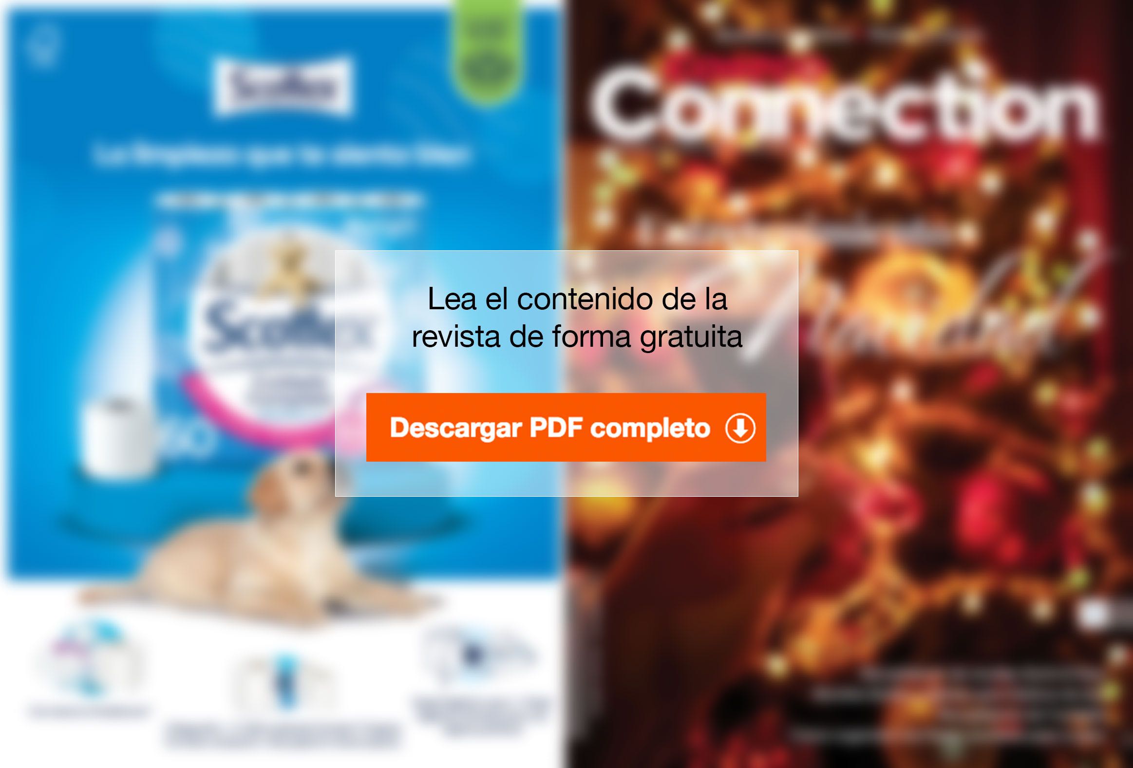 Descargar Costco Connection 13