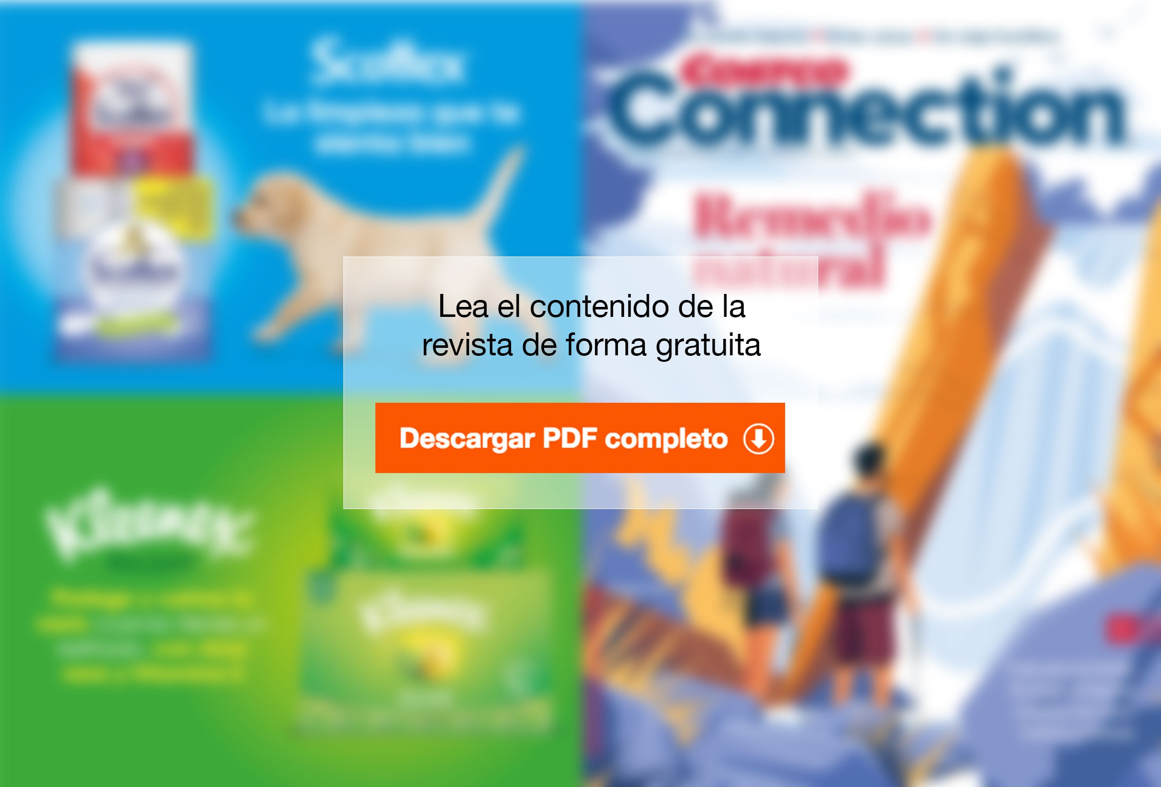 Descargar Costco Connection 22
